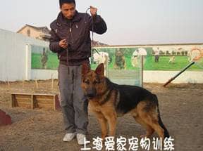393.jpg 393.jpg