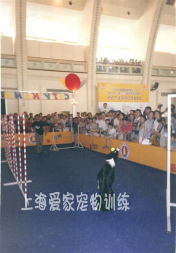 407.jpg