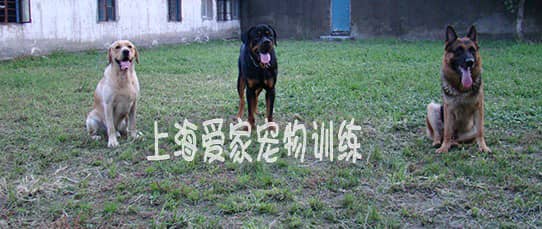 410.jpg 410.jpg