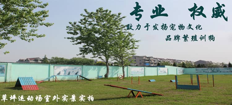 419.jpg