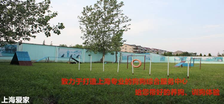 422.jpg