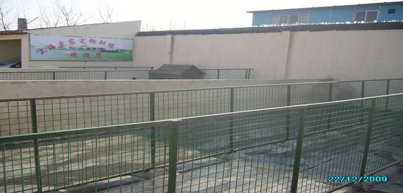 423.jpg