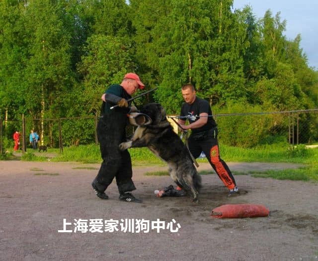 437.jpg 437.jpg