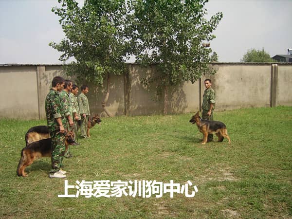 441.jpg 441.jpg