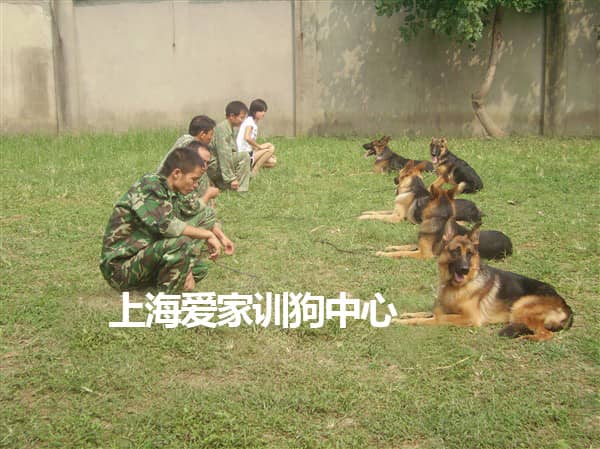 443.jpg 443.jpg