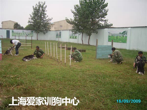 445.jpg 445.jpg
