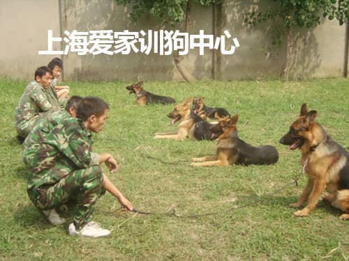 449.jpg