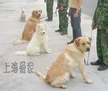 453.jpg 453.jpg