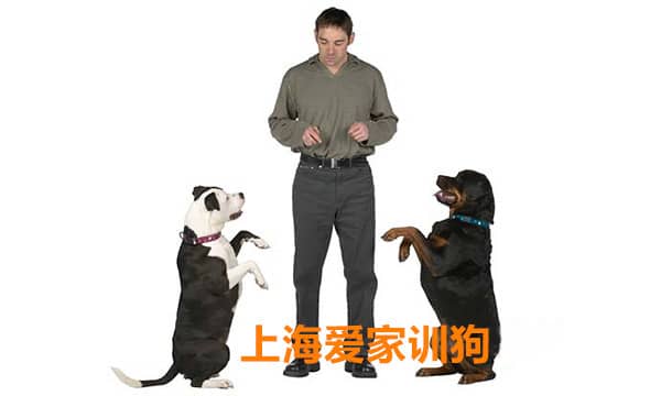 434.jpg 434.jpg