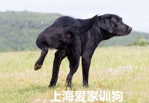 461.jpg 461.jpg