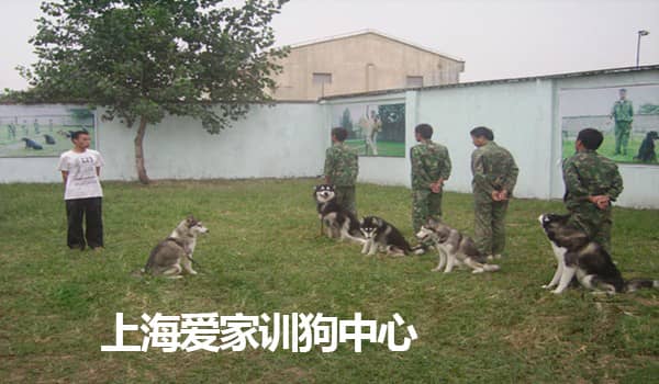 442.jpg 442.jpg