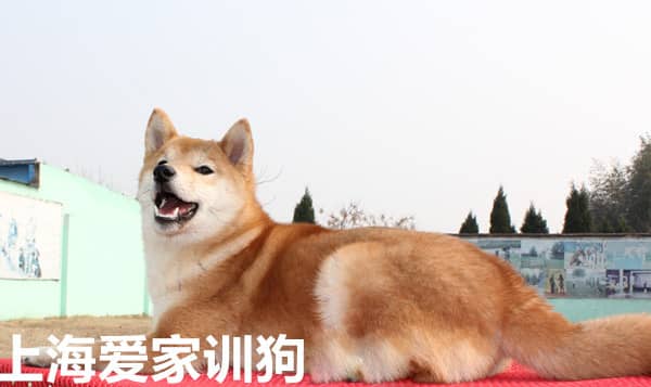 474.jpg 474.jpg