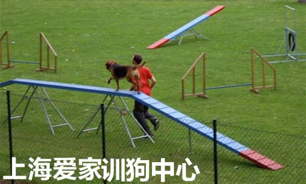 489.jpg