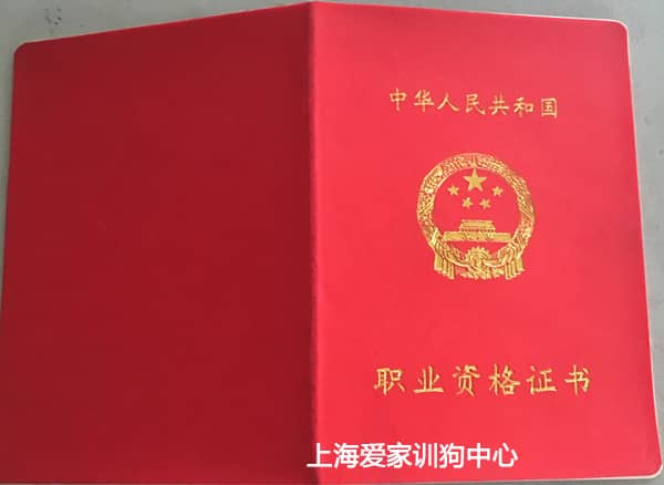 545.jpg 545.jpg