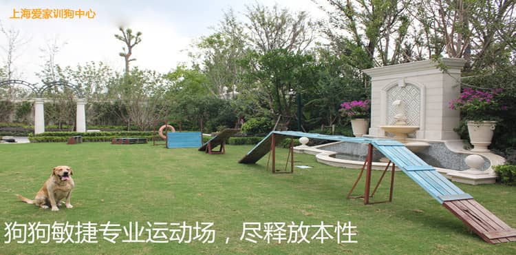554.jpg 554.jpg