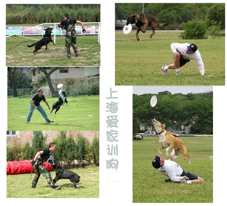 559.jpg 559.jpg