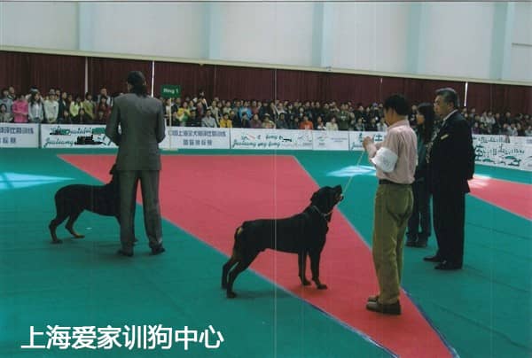 571.jpg 571.jpg