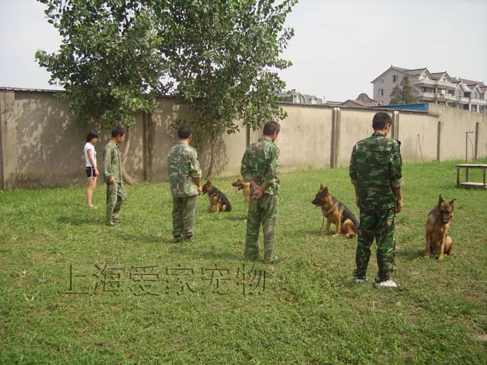 575.JPG